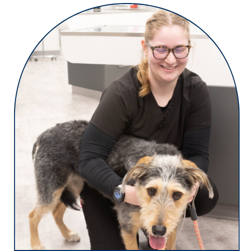 Staff and dog Staff and dog